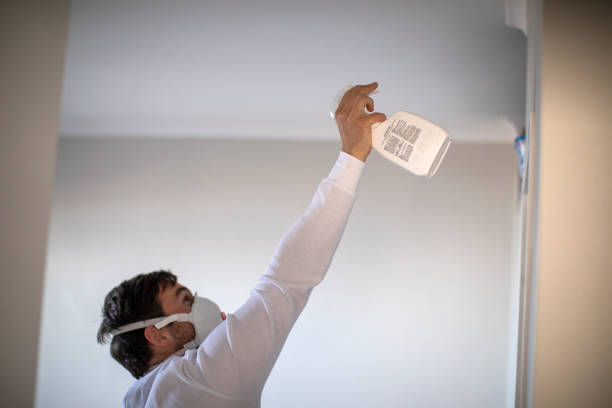 Best Preventive Mold Services in Grandview, IL