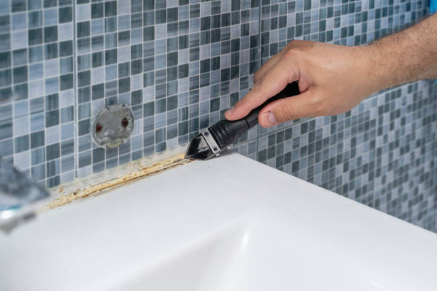 Best Bathroom Mold Remediation in Grandview, IL