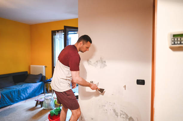 Best Industrial Mold Remediation in Grandview, IL